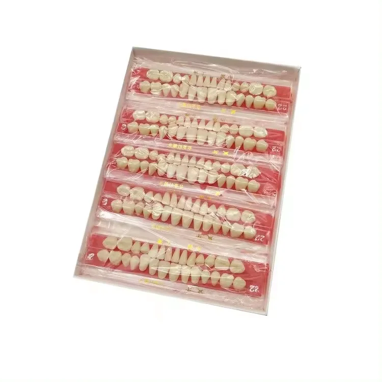 Dentures Veneer dental false tooth synthetic teeth Full Teeth Ceramic teeth supplier