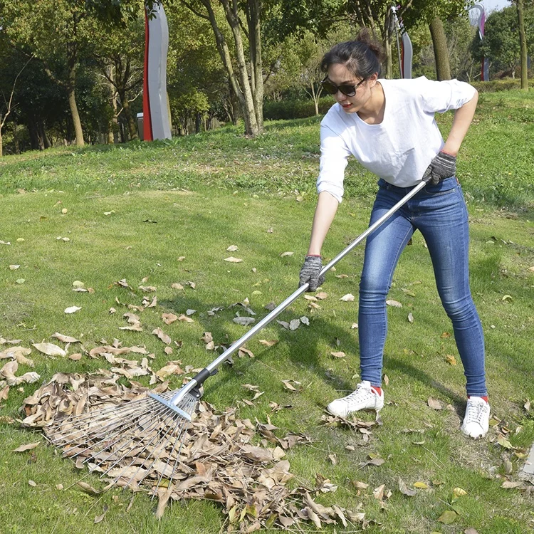 15 Tine Different Types of Rakes Steel Spring Tines Telescopic Rake RK15-202