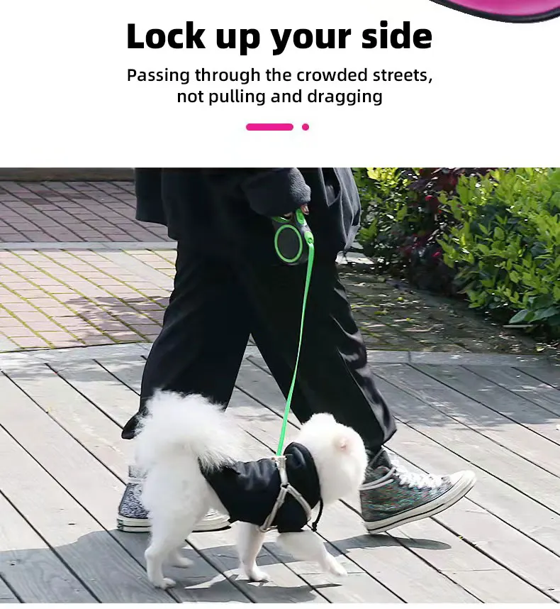 Chengbei Factory Hot Selling Traction Rope Correa Led Para Perro Adjustable Rope Dog Leashes Pet