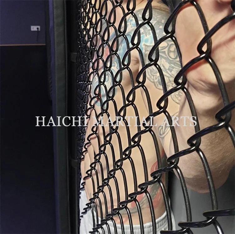 オクタゴンMMAケージコンペティション標準高架MMAケージ六角形MMA