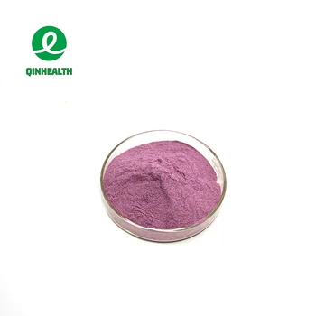 Supply Natural Fruit Powder Pure Blueberry Fruit Powder Blueberry Powder