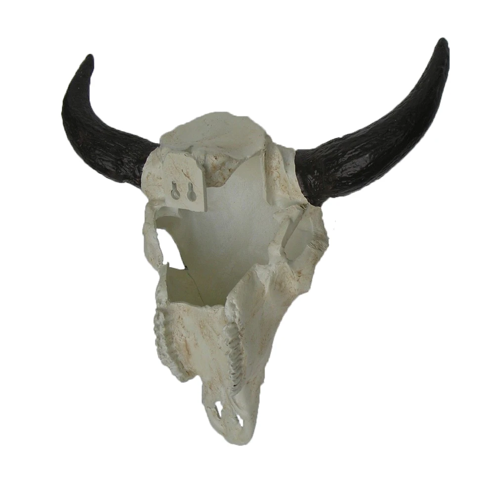 HASADHU SHINGON SKULL SCULPTURE IN WHITE HASADHU SHINGON SKULL