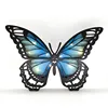 Mariposa-B