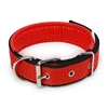 Red with black edge