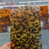 Tortoise Shell-DM-008