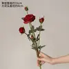 Large Red 5-Headed Gana Rose Single Stalk
