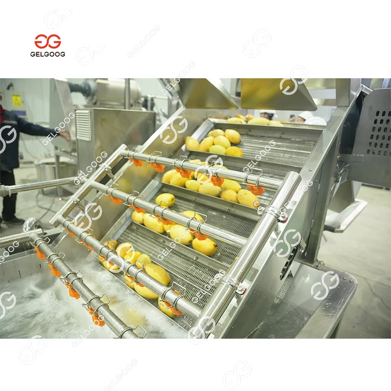 High Efficiency Automatic Mango Jam Juice Making Machine Small Scale PLC Engine Motor Core Components for Mango Processing Plant
