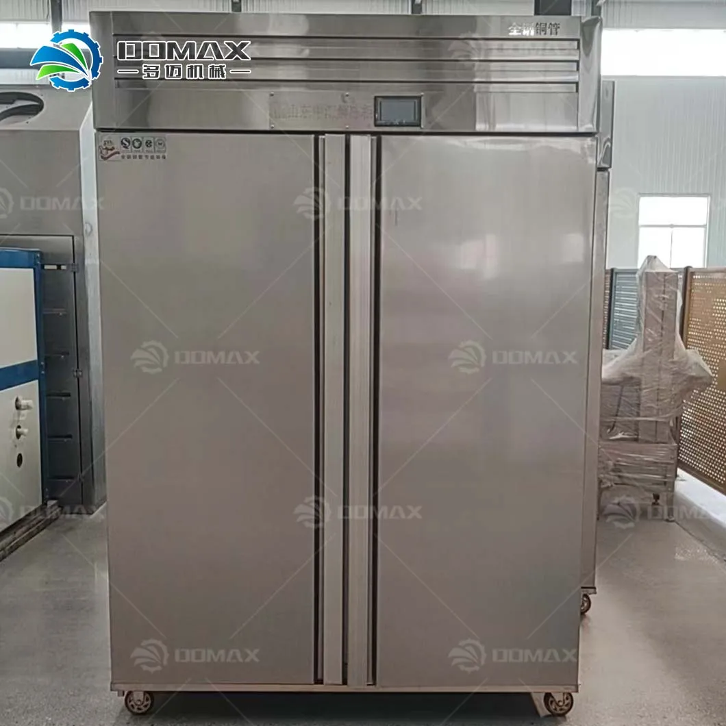 Thawing Equipment, 220v, 3.5kw - detail 4