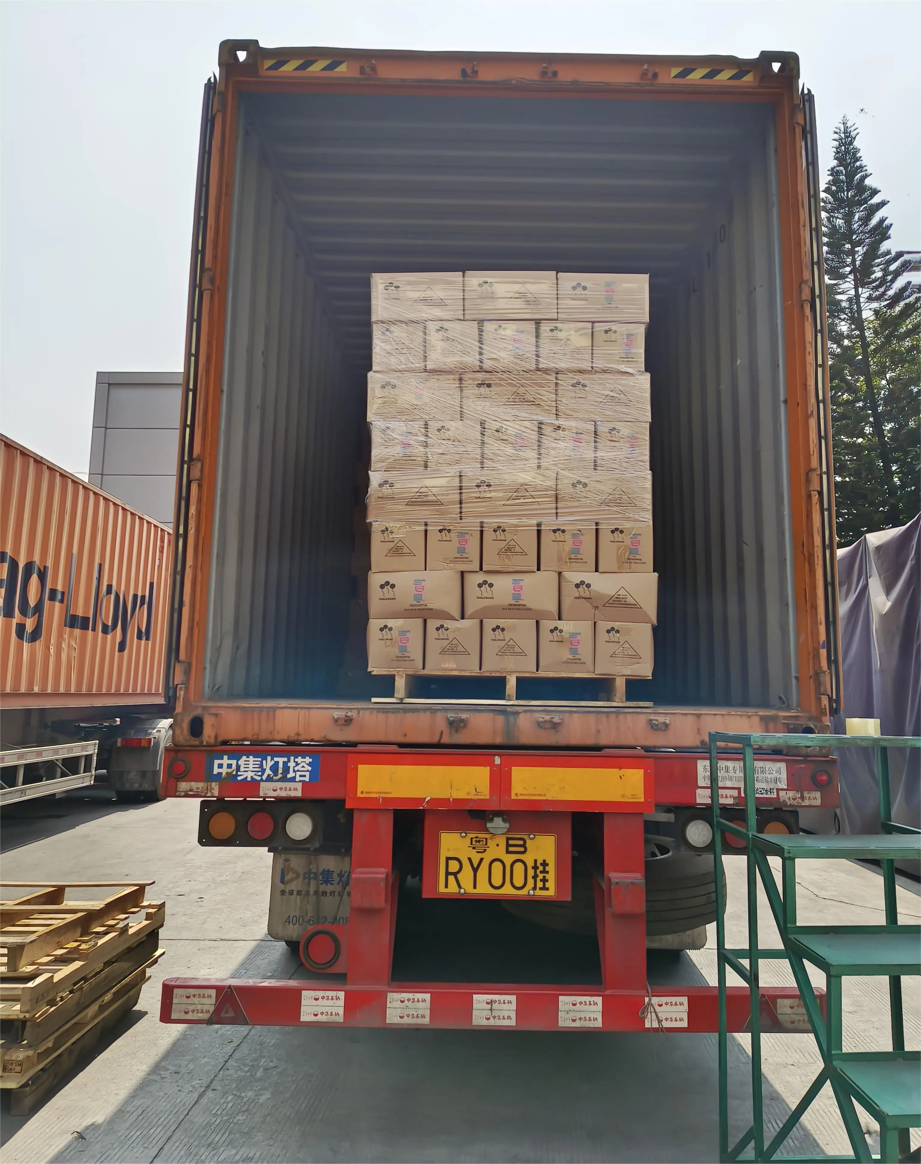 High Crew Length Disposable Travel Socks For Men And Women Unisex Sheer Pattern Thick Polyester