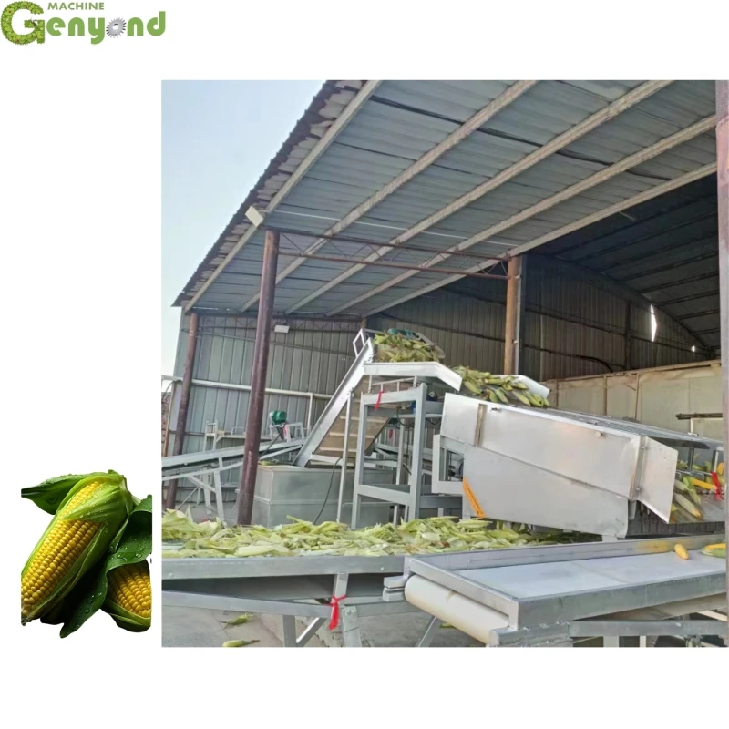 Industrial Sweet Corn Cutter Corn Segments Vacuum Packaging Processing Line