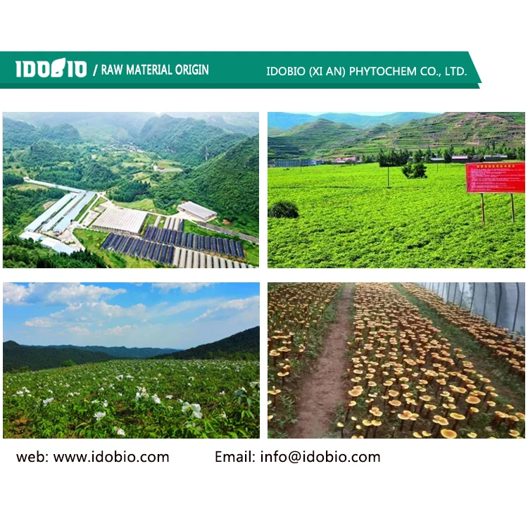 INCI CAS 7631-86-9 Silicon Dioxide Silica(7631-86-9)and Silica Dimethyl Silylate(68611-44-9)