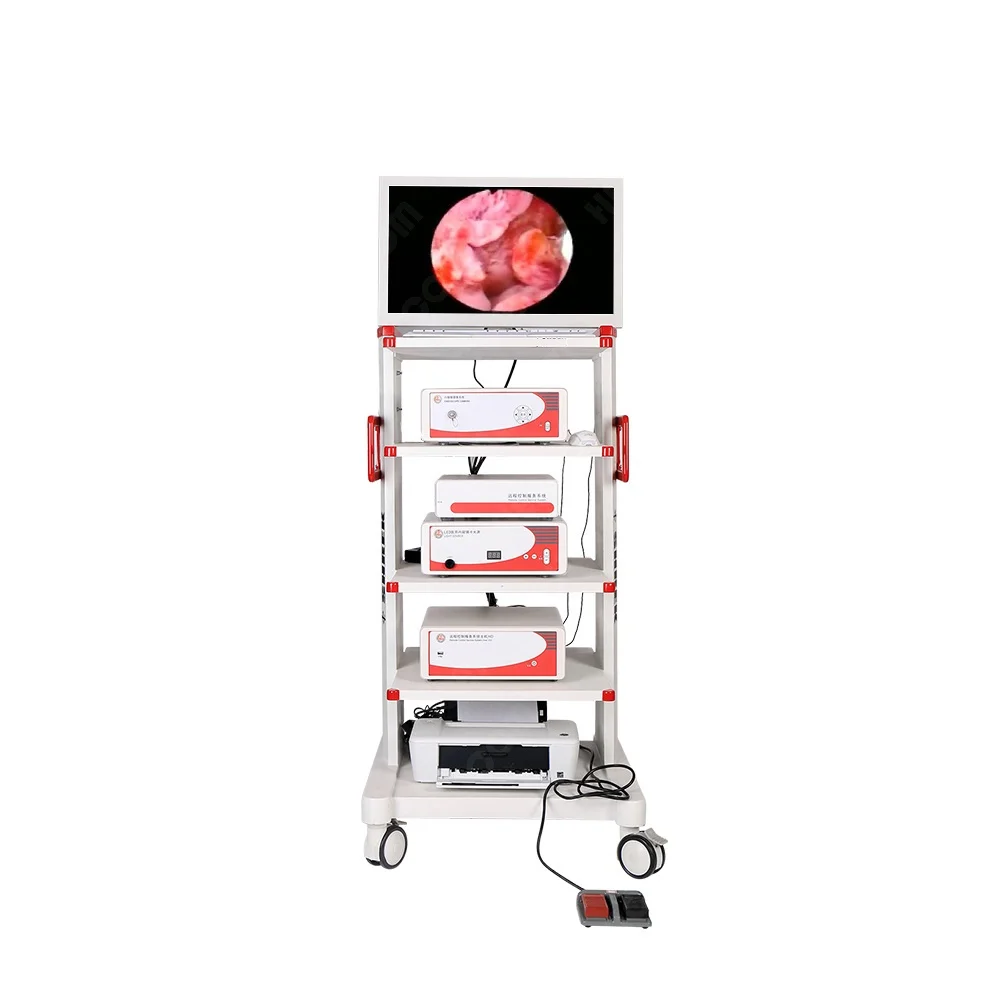 Endoscopy Equipment Gynecological Hysteroscopy Tower Complete Set factory