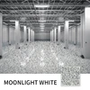 Blanc clair de lune