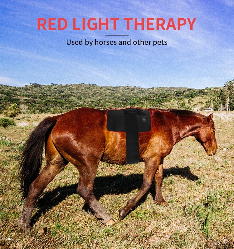 Led Red Light Near Infrared Light Pet Horse Lighttherapy Led Lamp Horse
