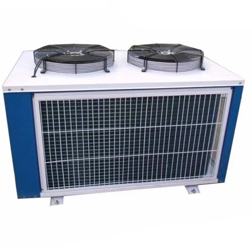 Selectable  Compressor Refrigerator 40 Feet Cold Room Modular Cooler Room for  Drinks and Vegetables