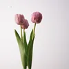 3 branches camellia tulip-red crabapple