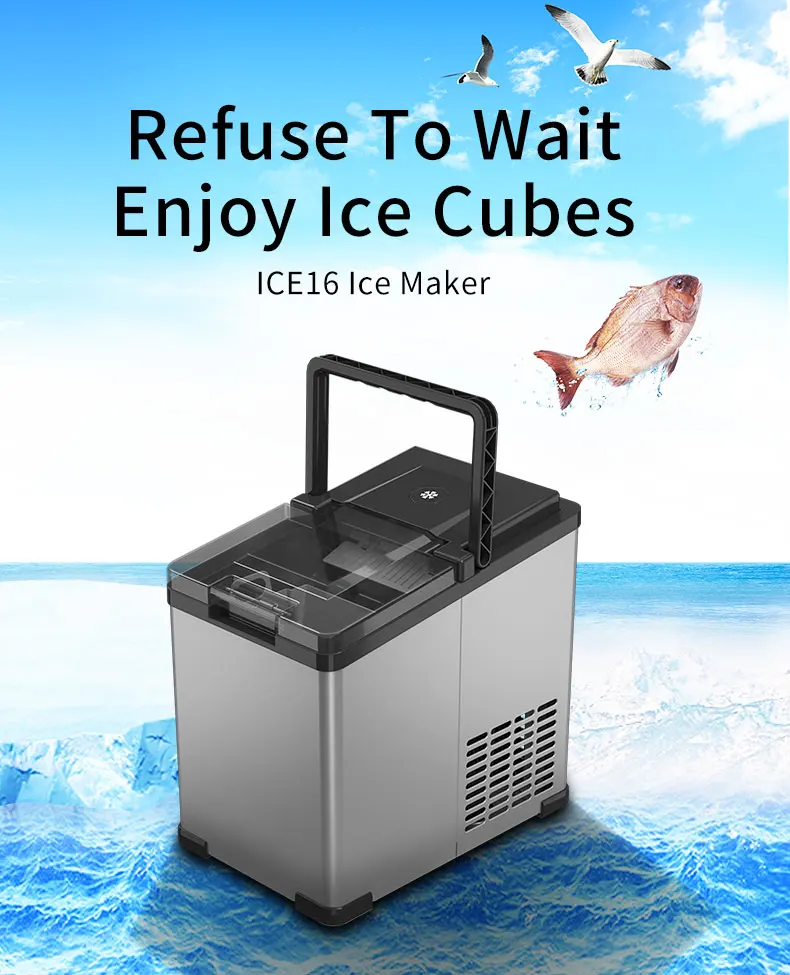 ice16_01.jpg