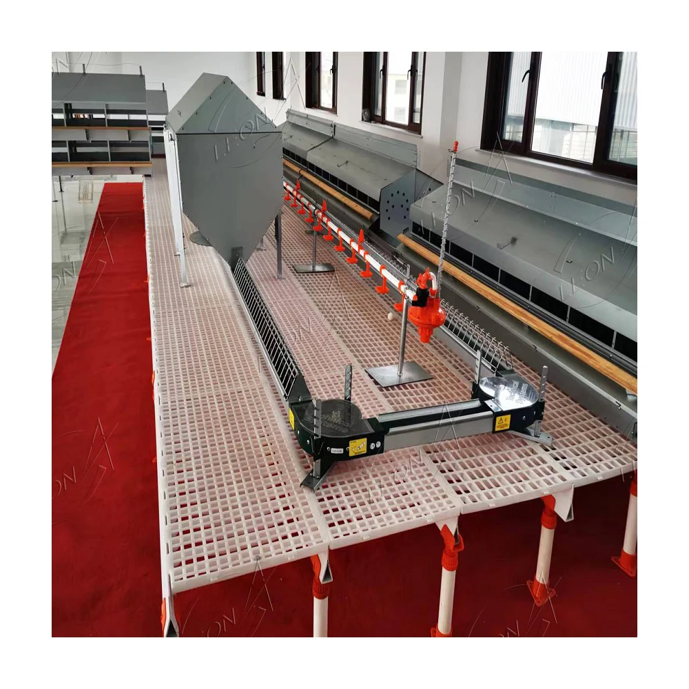 Automatic Chicken Chain Feeding System Poultry Feeder Chain Automatic Layer Poultry Equipment
