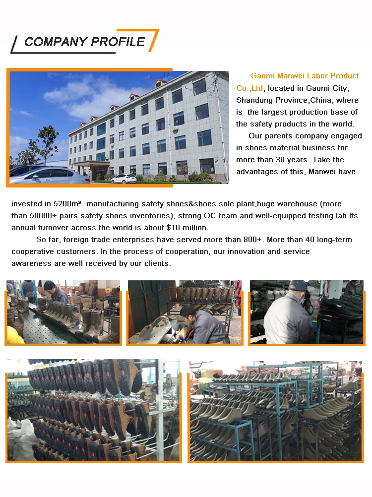 company profile.jpg