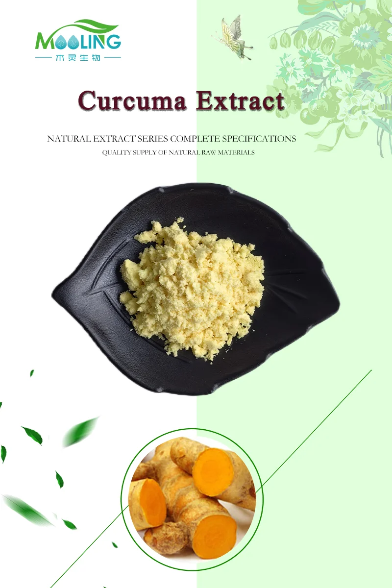 High Quality Turmeric Root Extract 95% Curcumin Powder Cas 458-37-7 ...