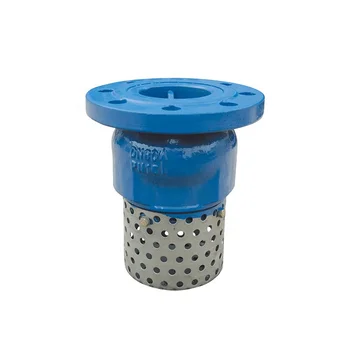 Dn300,Pn16 Ductile Iron Foot Valve With Stainless Steel Strainer - Buy ...