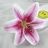 Light purple13