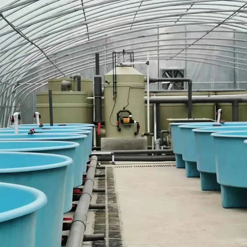 Automatic Fish Farm Filter System for High Density Fish Breeding