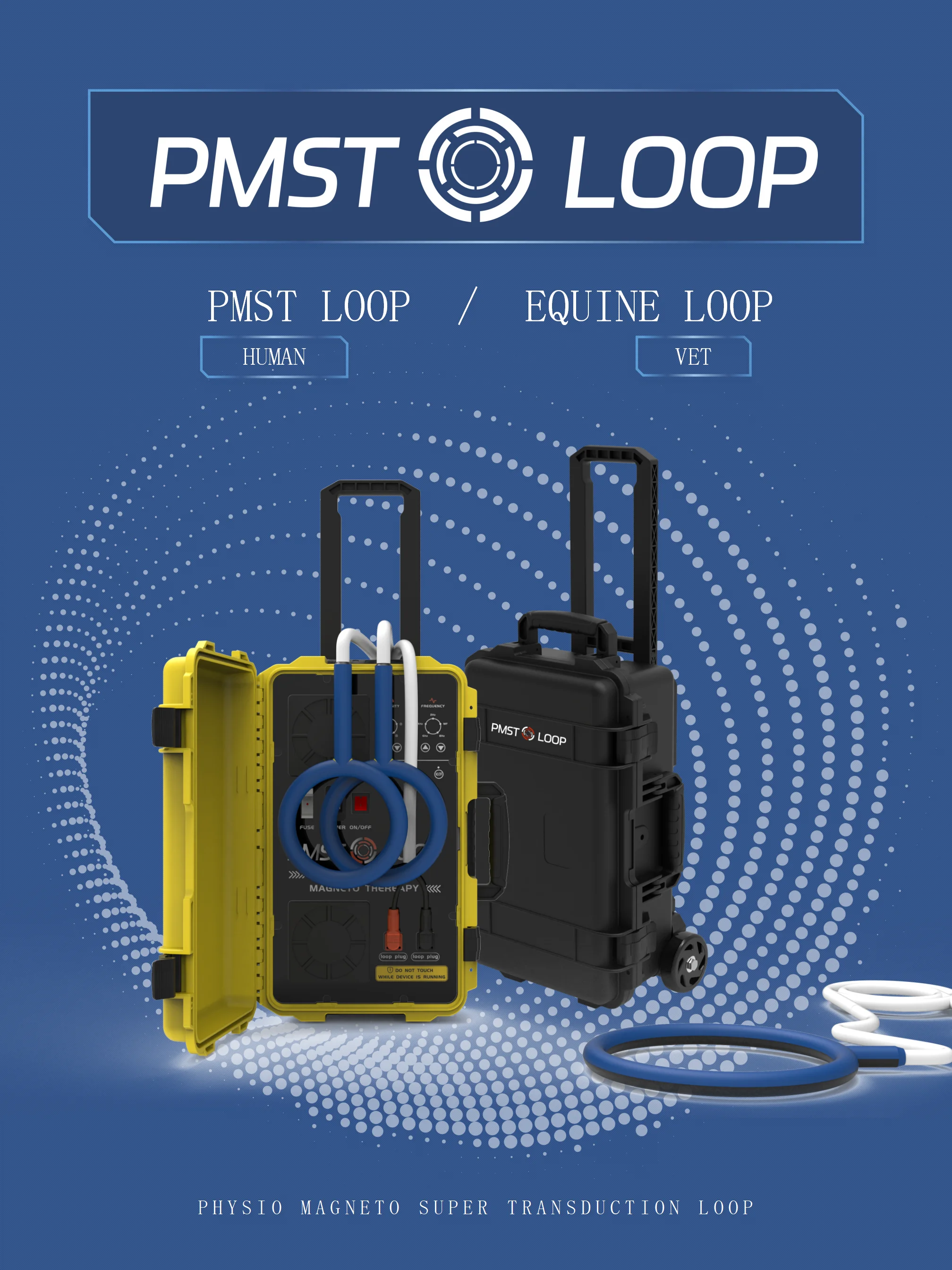 6000 Gauss PEMF Loop Physio Magneto Pulser Therapy Device Horse Physiotherapy Rehabilitation Equipment