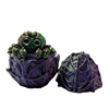 Copper, purple and green toy