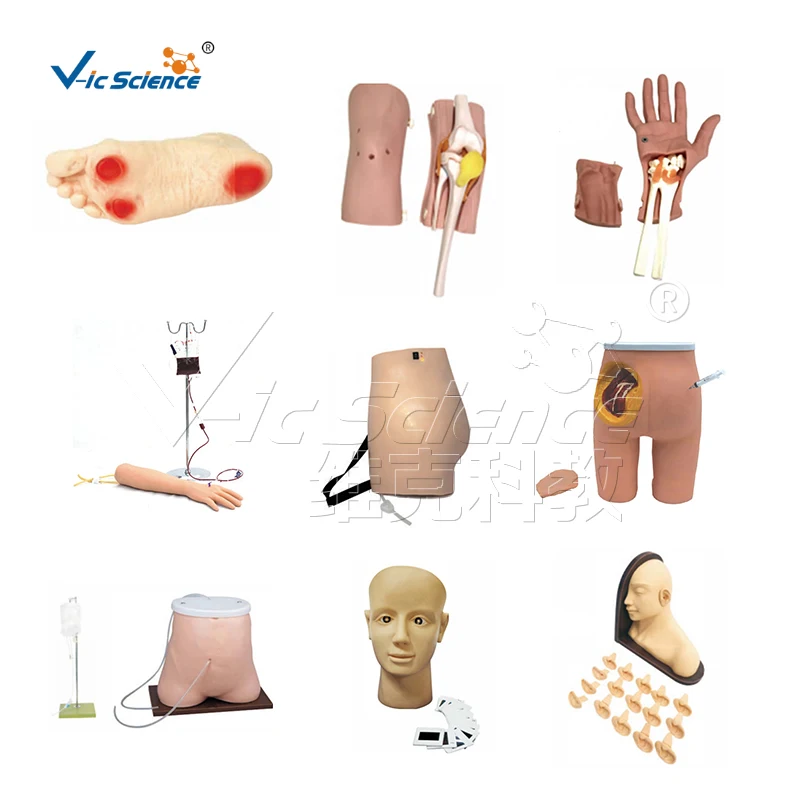 Nursing Training Manikins Fully Functional Trauma Caregiver Training Manikin Model