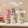 alpaca