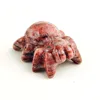 Sesame stone spider