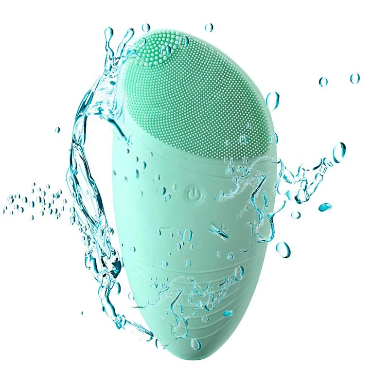 electric cleansing instrument