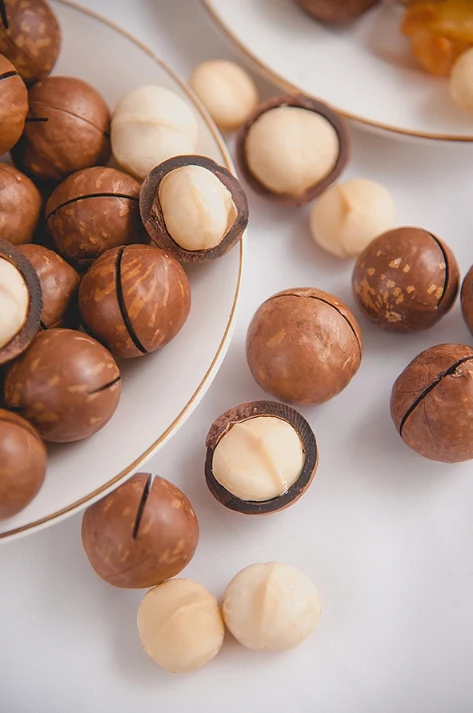 VANILLA FLAVOR Macadamia Nuts in the Shell Bulk Supply for Export at Best Price Delicious Macadamia Nuts