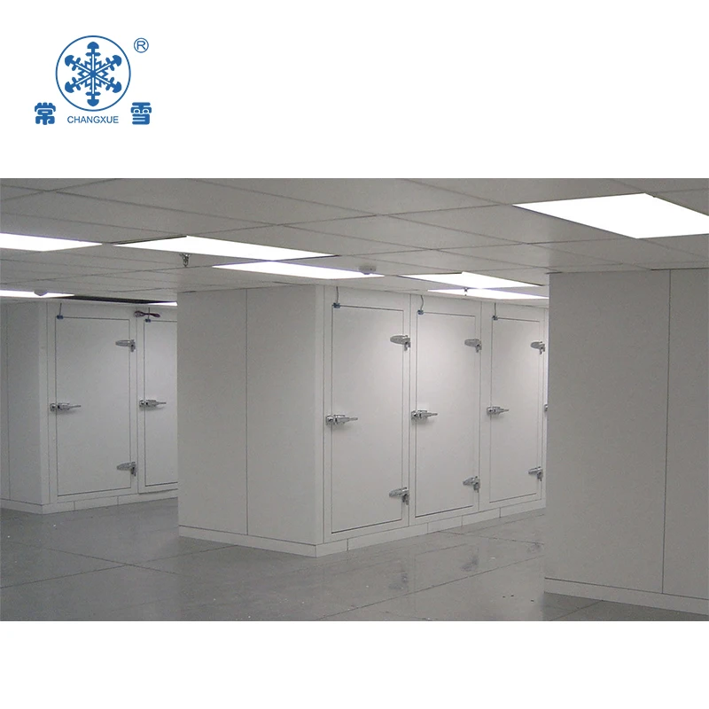 Dead Body Cold Storage Freezer Cold Room