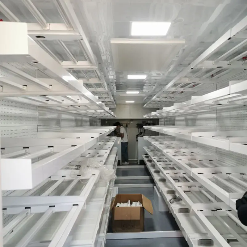 Large Vertical Farming System Container Hydroponic Greenhouse for Shipping and Mushroom Farming