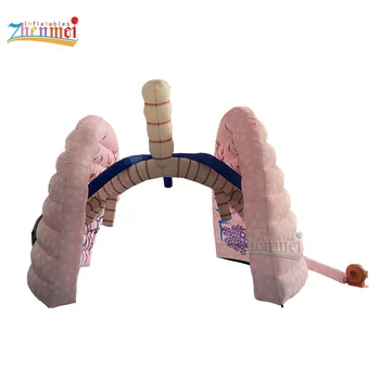 Zhenmei Giant Inflatable Human Visceral Organs Inflatable Lung Body Model For Event Display