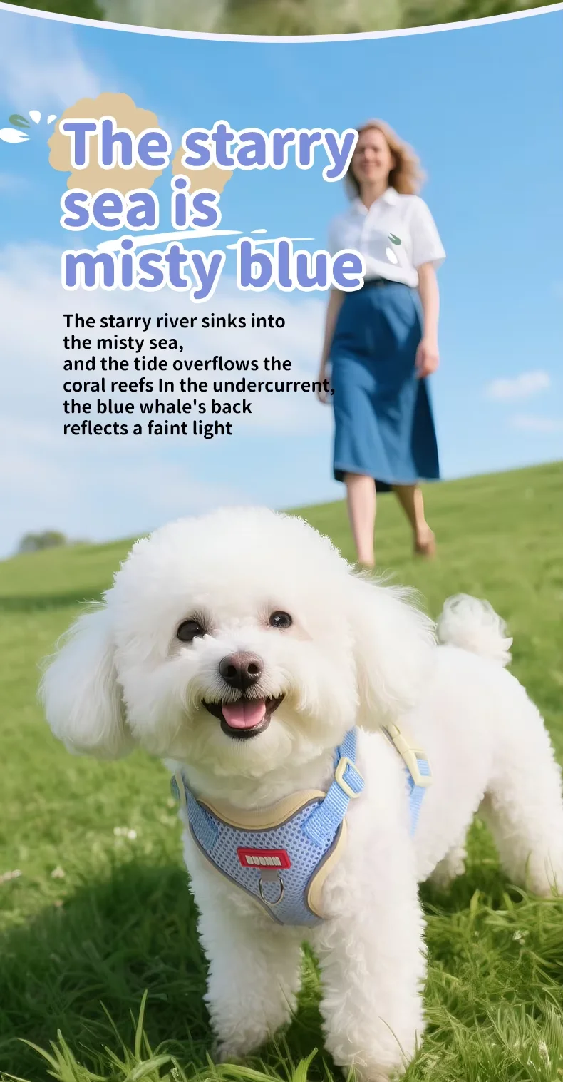 Hot Selling Colorful Vest Style Dog Cat Breathable Harness Leash Adjustable Anti Escape Outdoor Pet Products7