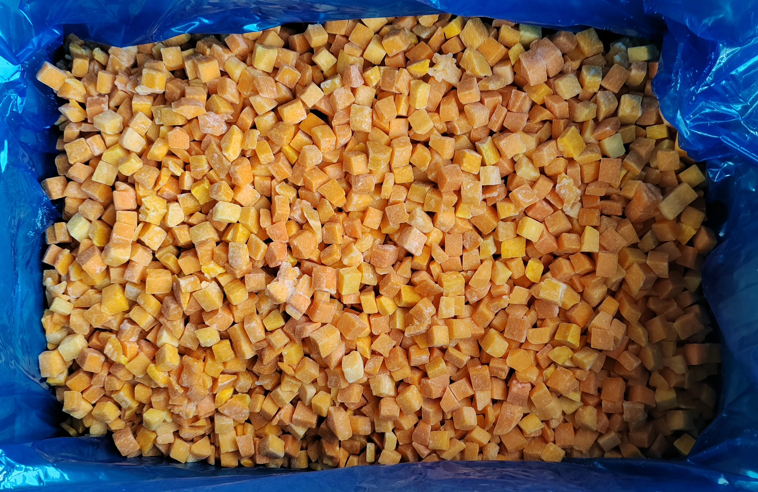 الجملة بالجملة 10 كجم لكل صندوق يقطين مجمد مكعبات فواكه IQF قطع يقطين خضروات مجمدة