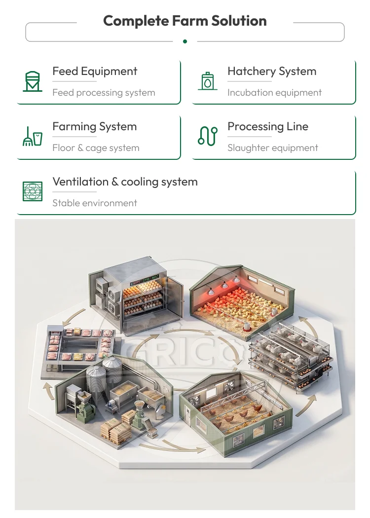 Automatic Plastic Egg Incubator 48–96