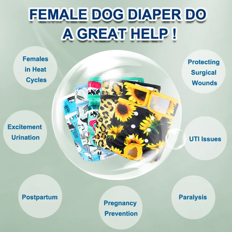 Durable Nappies for Dogs Uk Soft Breathable Senior Dog Incontinence Products French Bulldog Diaper