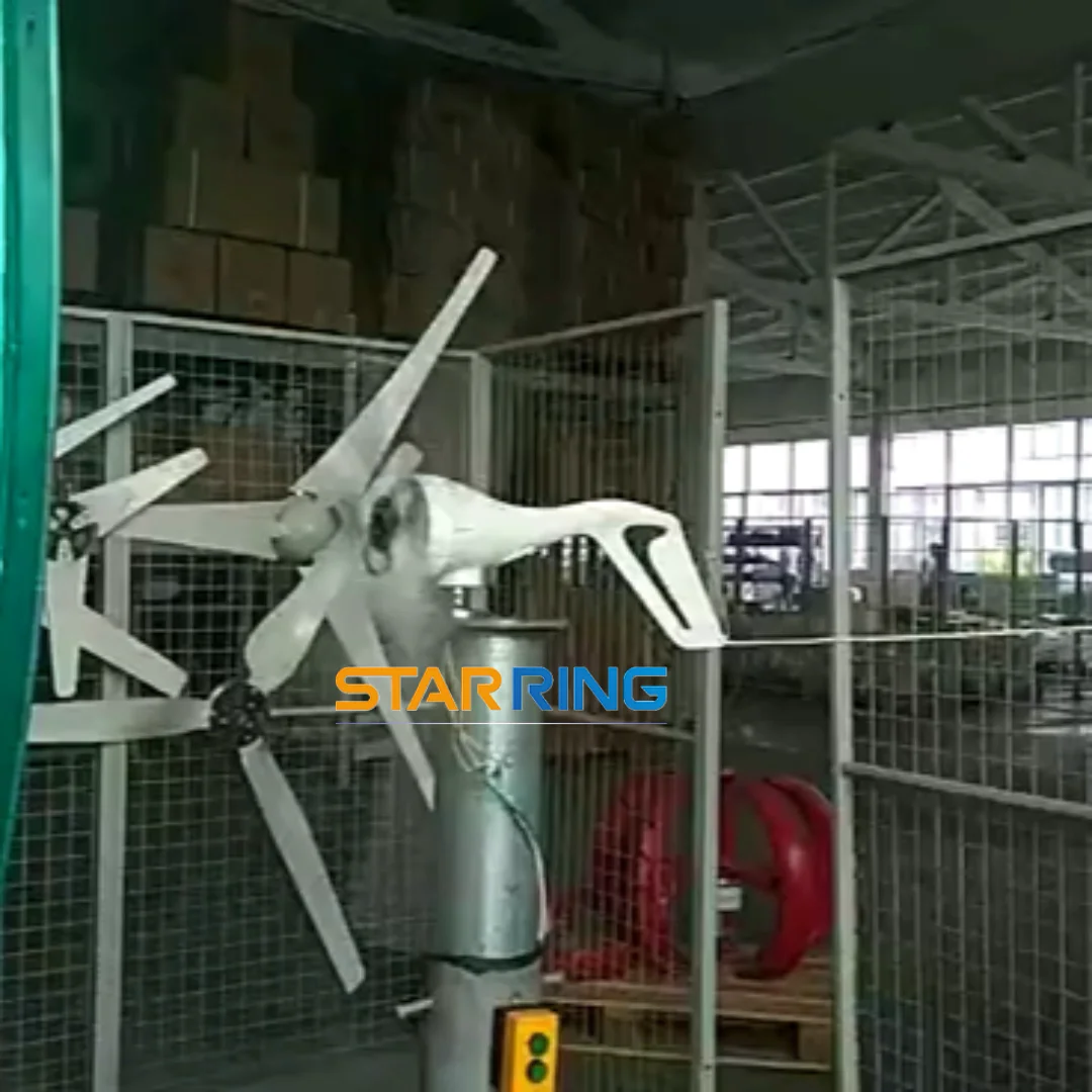 Starring Wind Turbine Generator 100w 12v24v Wind Generator 100watt With