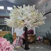 12 สีขาว
