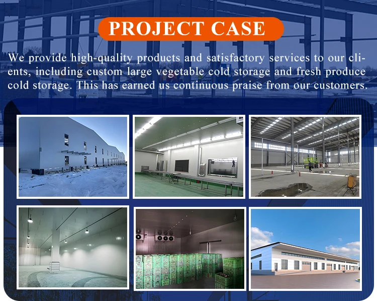 Large Medium Size Walk-In Cold Storage Warehouse Compressor Project Vegetables Fruits Essential Restaurants Panel Motor details