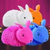 Rabbit(random/mix color)23.7*14.3cm