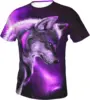 Lupo Animale Nebulosa Viola Galassia