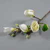 4 heads magnolia single stem white