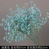 Branche de fleur de colza bleu