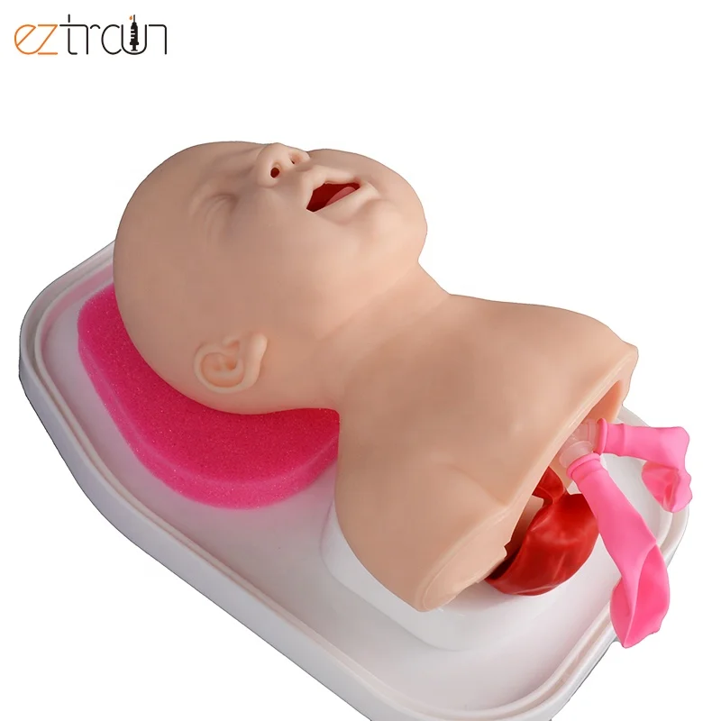 Infant Airway Management Intubation Manikin Silicone PVC Materials for Endotracheal Intubation Training Course PH03-184 1000g