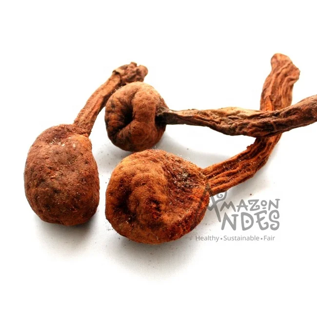 Pure and Prime Quality Powder of Huanarpo Macho at Lowest Price From Peru